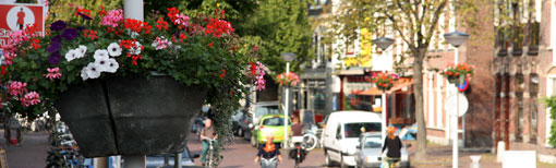 Plantenbak en een overzicht van de straat